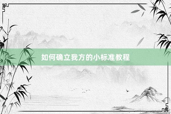 如何确立我方的小标准教程